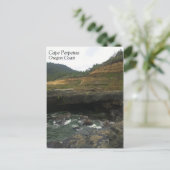 Carte Postale Cape Perpetua, Côte de l'Oregon (Debout devant)