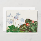 Carte Postale Cape primrose, Violet de flamme par Tanigami Konan (Devant / Derrière)