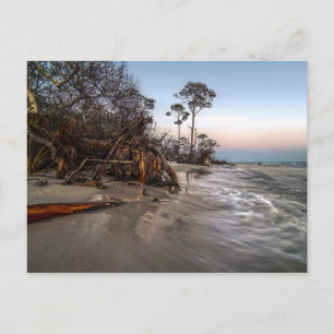 Carte Postale Cape San Blas, Floride