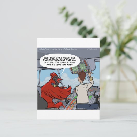 Carte Postale Capitaine Byrd Vol Un Jumbo Jet Drôle (Debout devant)