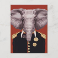 Capitaine Éléphant