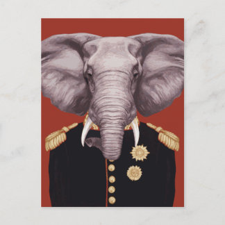 Carte Postale Capitaine Éléphant
