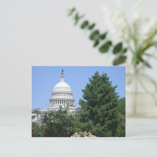 Carte Postale Capitol du parc Bartholdi (Debout devant)