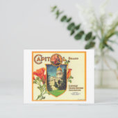 Carte Postale Capitol Orange LabelLindsay, CA (Debout devant)