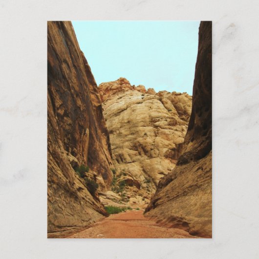 Carte Postale Capitol Reef Nat'l Park (Devant)