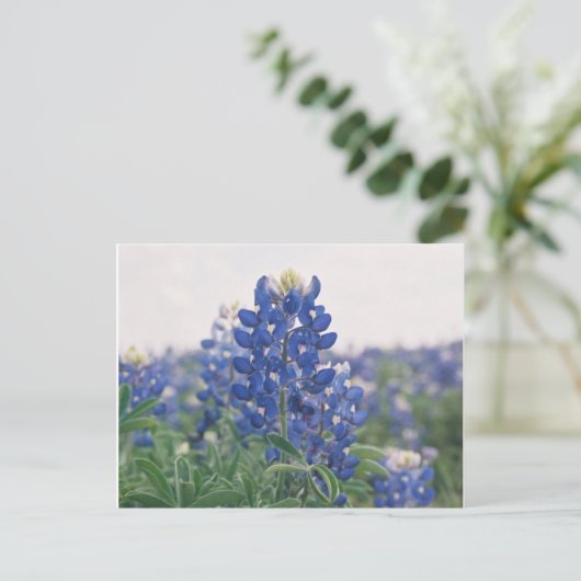 Carte Postale capot bleu (Debout devant)