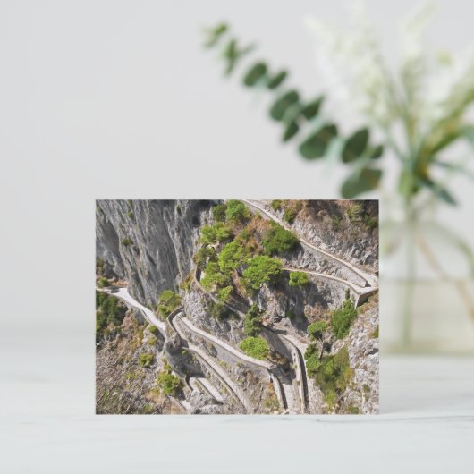 Carte Postale Capri. #11. (Debout devant)