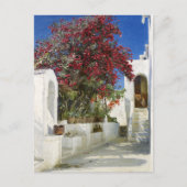 Carte Postale Capri - Oleandres en fleurs, Peder Severin Krøyer (Devant)
