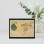 Carte Postale Capricorne (Capricorne) (Debout devant)