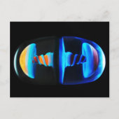 Carte postale Capsule Shroom en verre orange et bl (Devant)