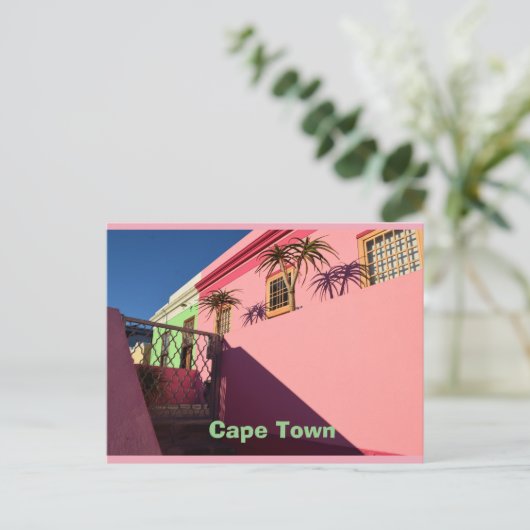 Carte Postale Capte Town, Afrique du Sud (Debout devant)