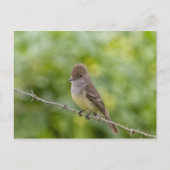 Carte Postale Capteur (Devant)