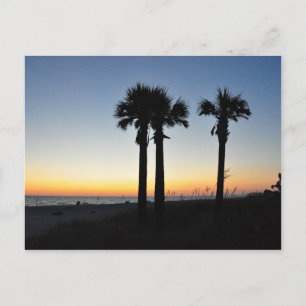 Carte Postale Captiva Island Palm Trees Coucher du soleil Florid
