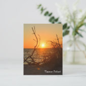 Carte postale Captiva Sunset (Debout devant)