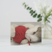 Carte Postale Capture de studio (Debout devant)