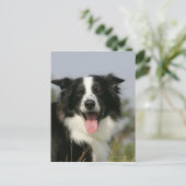 Carte Postale Capture d'écran de la bordure 1 (Debout devant)