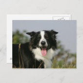 Carte Postale Capture d'écran de la bordure 1 (Devant / Derrière)