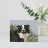 Carte Postale Capture d'écran de la bordure 1 (Debout devant)