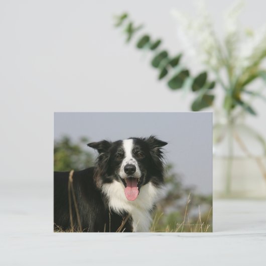 Carte Postale Capture d'écran de la bordure 1 (Debout devant)