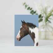 Carte Postale Capture d'écran du Cheval de peinture 1 (Debout devant)