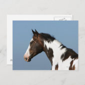 Carte Postale Capture d'écran du Cheval de peinture 1 (Devant / Derrière)