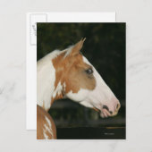 Carte Postale Capture d'écran du Cheval de peinture 2 (Devant / Derrière)