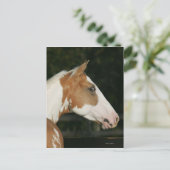 Carte Postale Capture d'écran du Cheval de peinture 2 (Debout devant)