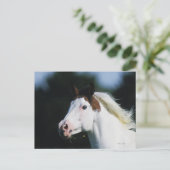 Carte Postale Capture d'écran du Cheval de peinture 3 (Debout devant)