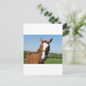 Carte Postale Capture d'écran Rags to Riches (Debout devant)