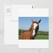 Carte Postale Capture d'écran Rags to Riches (Devant / Derrière)