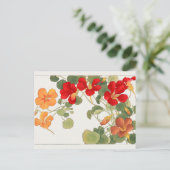 Carte Postale Capucine par Tanigami Konan (Debout devant)