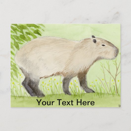 Carte Postale Capybara (Devant)