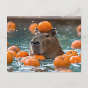 Carte Postale Capybara avec Oranges flottantes