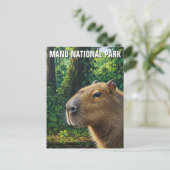 Carte Postale Capybara dans le Parc National de Manu Pérou (Debout devant)