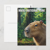 Carte Postale Capybara dans le Parc National de Manu Pérou (Devant / Derrière)