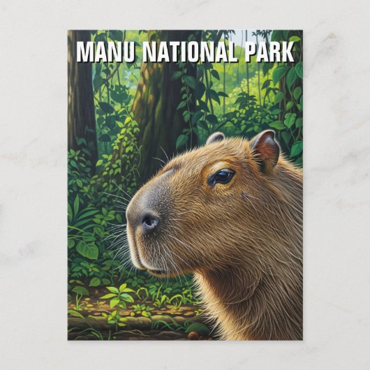 Carte Postale Capybara dans le Parc National de Manu Pérou (Devant)