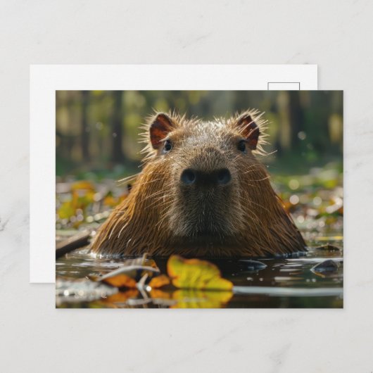 Carte Postale Capybara dans les zones humides d'automne (Devant / Derrière)