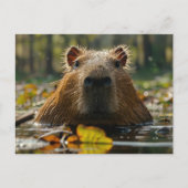 Carte Postale Capybara dans les zones humides d'automne (Devant)