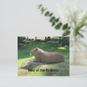 Carte Postale Capybara géant (Debout devant)