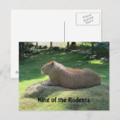Carte Postale Capybara géant (Devant / Derrière)