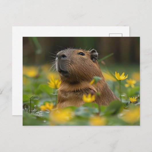 Carte Postale Capybara Parmi Les Lys D'Eau Jaune (Devant / Derrière)