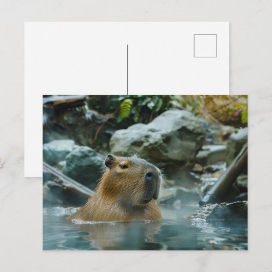 Carte Postale Capybara Profiter De La Ressource Chaude (Devant / Derrière)