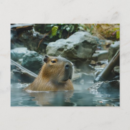 Carte Postale Capybara Profiter De La Ressource Chaude (Devant)