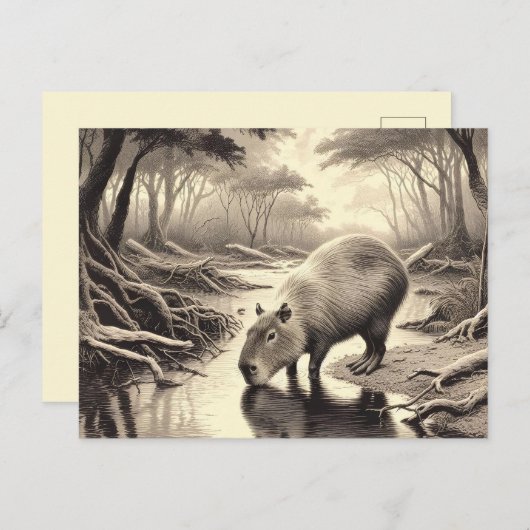 Carte Postale Capybara Vintage Etching (Devant / Derrière)