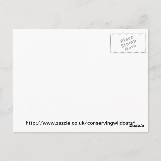 Carte postale - caracal (Dos)