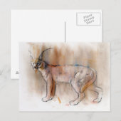 Carte Postale Caracal arabe 2009 (Devant / Derrière)