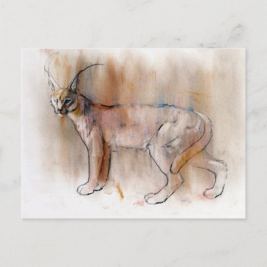 Carte Postale Caracal arabe 2009 (Devant)