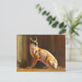 Carte Postale Caracal arabe 2010 (Debout devant)