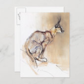 Carte Postale Caracal assis 2009 (Devant / Derrière)