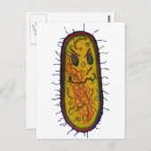 Carte Postale Caractère de dessin de la bactérie moyenne (Devant / Derrière)